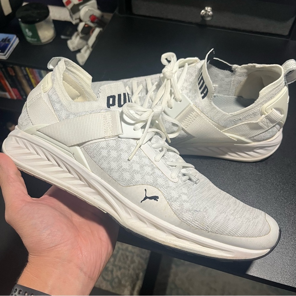Puma Ignite Evoknit Low